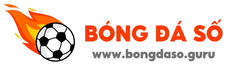 Bongdaso - bong da so - Cập nhật bóng đá số - dữ liệu 66 hàng đầu