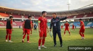 Tuyển Việt Nam chốt lịch giao hữu tháng 11: Cơ hội ‘thử lửa’ hay chỉ để cải thiện thứ hạng FIFA?